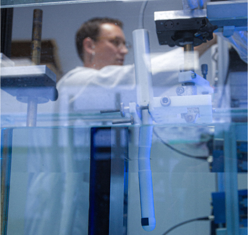 Quality at the Backbone of Our Operations