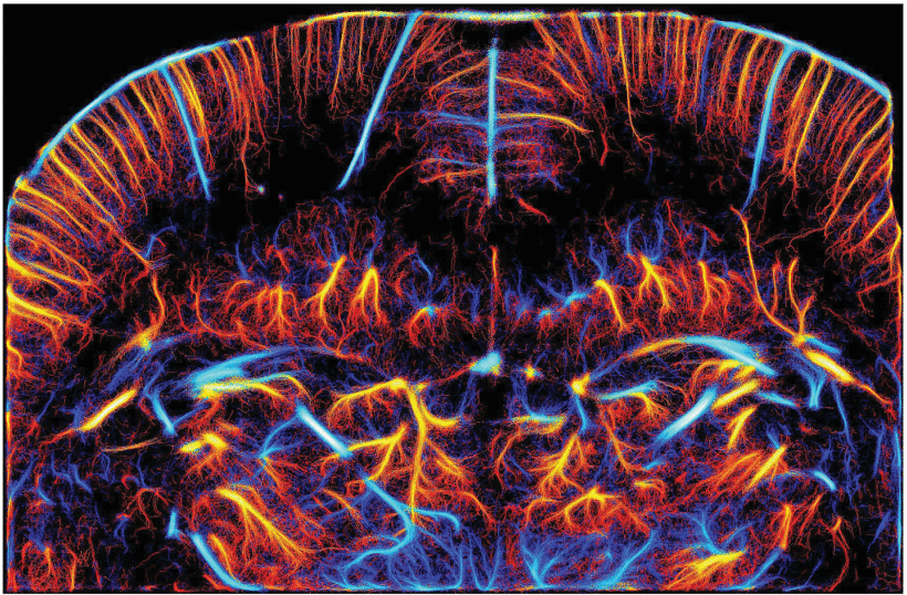 High frequency products